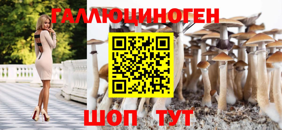 Псилоцибиновые грибы MAGIC MUSHROOMS  Псилоцибиновые грибы Cubensis  Курчалой  Вход с VPN 