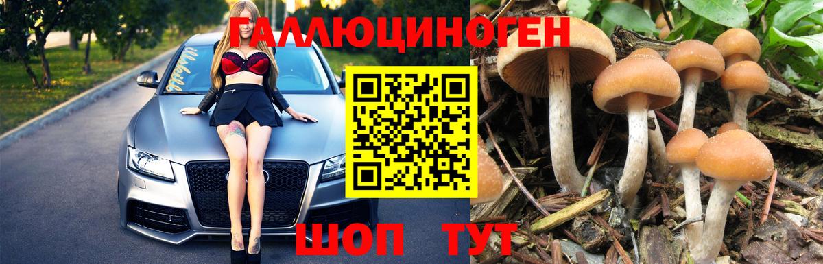 Псилоцибиновые грибы мухоморы Курчалой