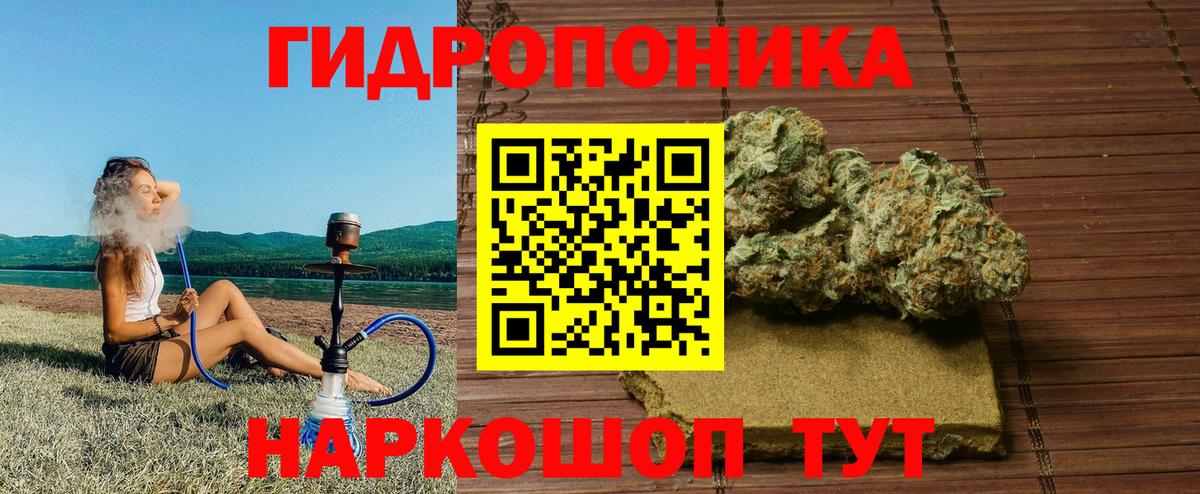 Бошки марихуана индика Курчалой